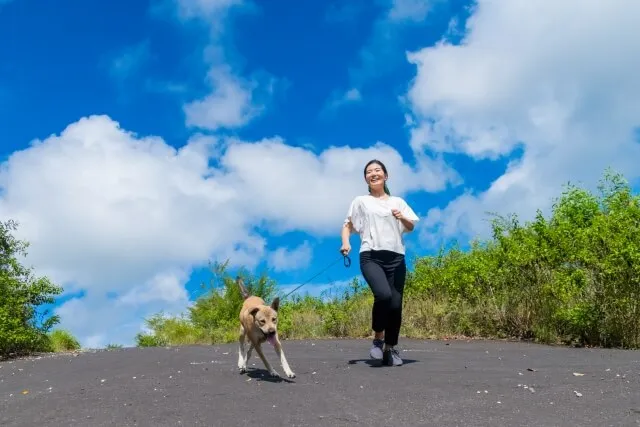 jogging with dog