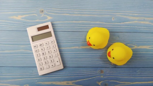 calculator and ducks